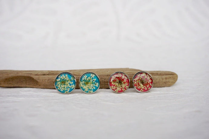 pressed queen annes lace stud earrings with blue and red background