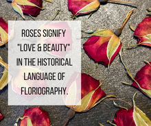 Roses symbolize love and beauty in the historical language of flirography. 