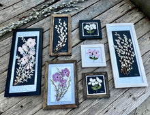 Spring Fling collection by Pressed Wishes featured framed pressed flowers in a variety of sizes and containing many botanicals. Artwork by Pressed Wishes.