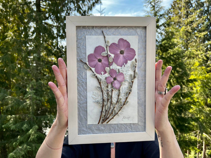 Real pressed purple dogwood flowers, pussy willow and musk mallow are arranged in a bouquet and framed with a solid wood handcrafted frame. The artist, Melissa Puchinger, holds the artwork in her hands. 
