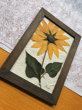 Real Pressed Sunflower Framed picture by Pressed Wishes