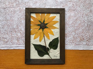Real Dried Yellow Sunflower with Walnut Framed Wall Decor - Pressed Botanical Wall Hanging by Pressed Wishes, Canadian Artist