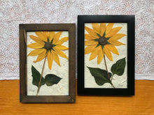 Real Pressed Sunflower Framed Artwork by Pressed Wishes, Canadian botanical artist
