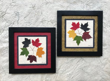 Dried Maple Leaves. The tattoo; pressed maple leaf framed artwork with handmade paper and black frame