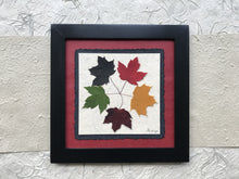 the tattoo - pressed maple leaf framed artwork with red handmade paper and black frame