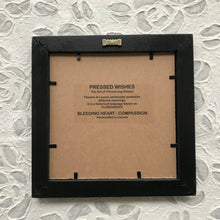 Real pressed Bleeding Heart in a solid wood frame with the floriography meaning on the back. Bleeding Hearts symbolize 'Compassion'. Handmade in Canada by Pressed Wishes.