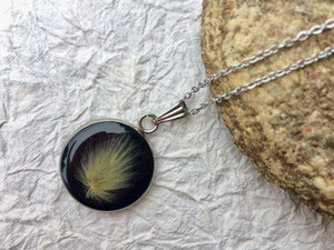 Dried Botanical pendant; pressed bunnytail necklace