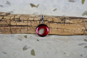 Real Pressed Bunnytail in Resin - Red background, silver stainless steel necklace by Pressed Wishes | Organic Jewellery, Nature's Wearable Art