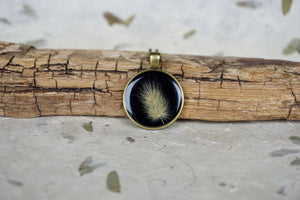 Preserved Bunnytail Botanical Antique Bronze Pendant Necklace by Pressed Wishes