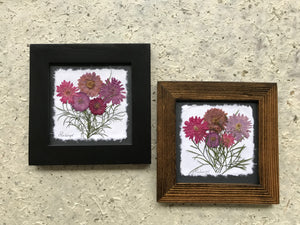 Dried Flowers; pressed chrysanthemum framed_artisan made