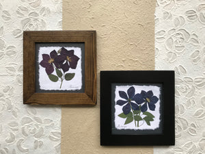Dried Flowers; pressed clematis framed artwork handmade in canada