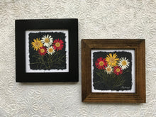 Dried Flowers; Pressed multi color daisy framed artwork; made with handmade paper; black and brown frame