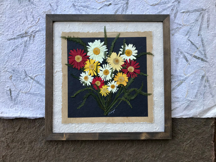 A bouquet of colourful pressed Shasta daisies are arranged on layers of f handmade paper and framed with a solid wood handcrafted frame. This real pressed daisy picture is made by botanical artist, Pressed Wishes, from Mabel Lake, BC, Canada. 