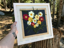 A bouquet of colourful pressed Shasta daisies are arranged on layers of f handmade paper and framed with a solid wood handcrafted frame. This real pressed daisy picture is made by botanical artist, Pressed Wishes, from Mabel Lake, BC, Canada. The pressed botanical picture is being held with a forest in the background. 