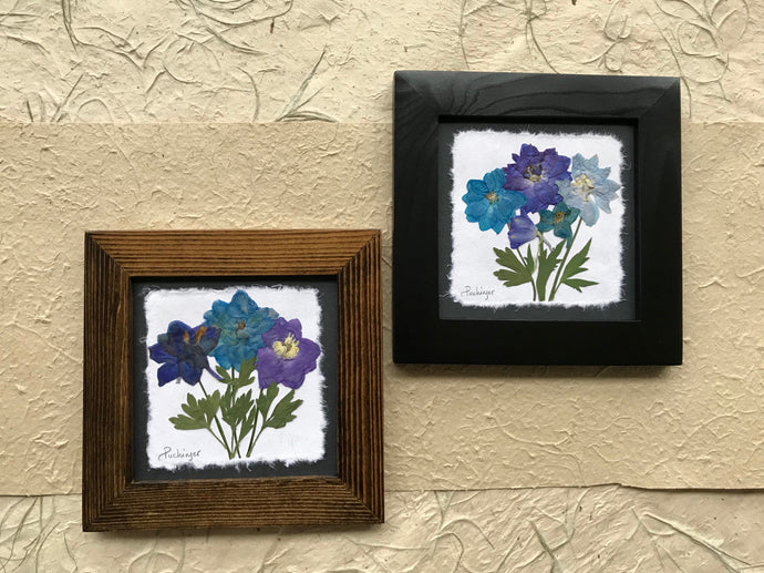 Dried Flowers; pressed delphinium framed artwork available in black and walnut frame
