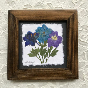 Dried Flowers; pressed delphinium 8x8 framed artwork with walnut frame