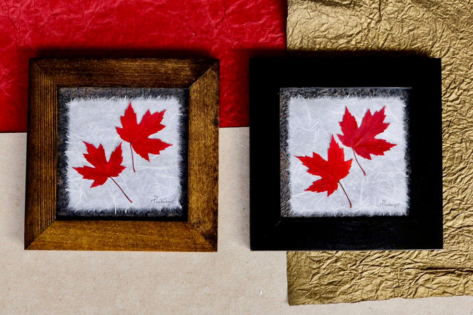 real pressed red maple leaf framed artwork by Pressed Wishes 