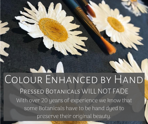 All daisies are colour enhanced by hand to protect against natural fading. 