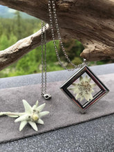 Real Pressed Edelweiss Locket - Stainless Steel Locket Collection by Pressed Wishes