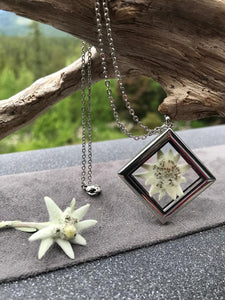 Real Pressed Edelweiss Locket - Stainless Steel Locket Collection by Pressed Wishes