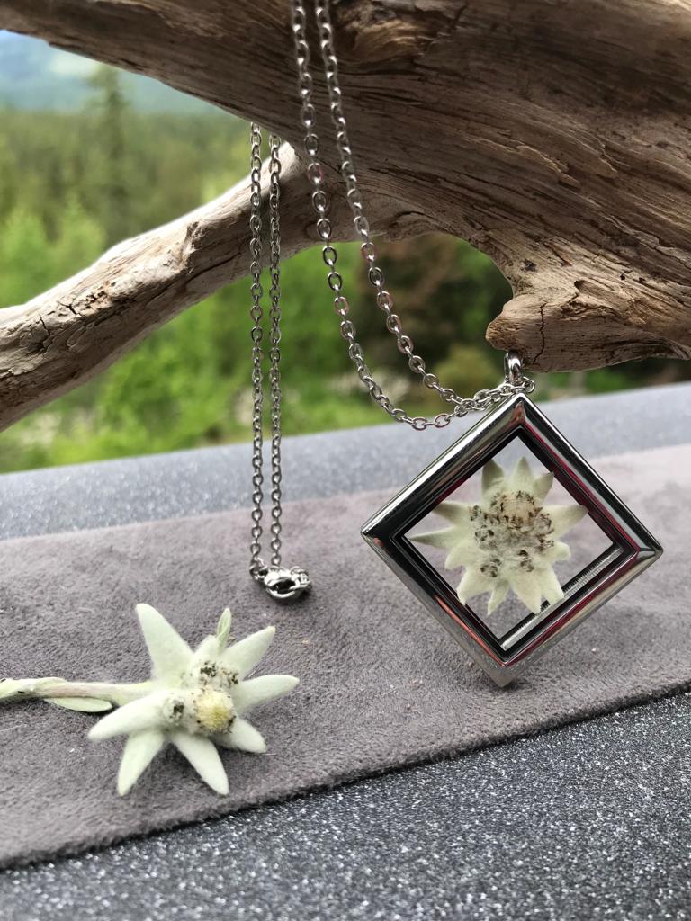 Real Pressed Edelweiss Silver Stainless Steel Locket by Pressed Wishes