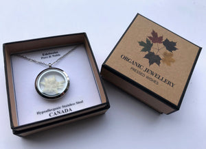 pressed edelweiss circle locket in Pressed Wishes box with Floriography