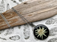 pressed edelweiss stainless steel pendant sealed in eco friendly resin