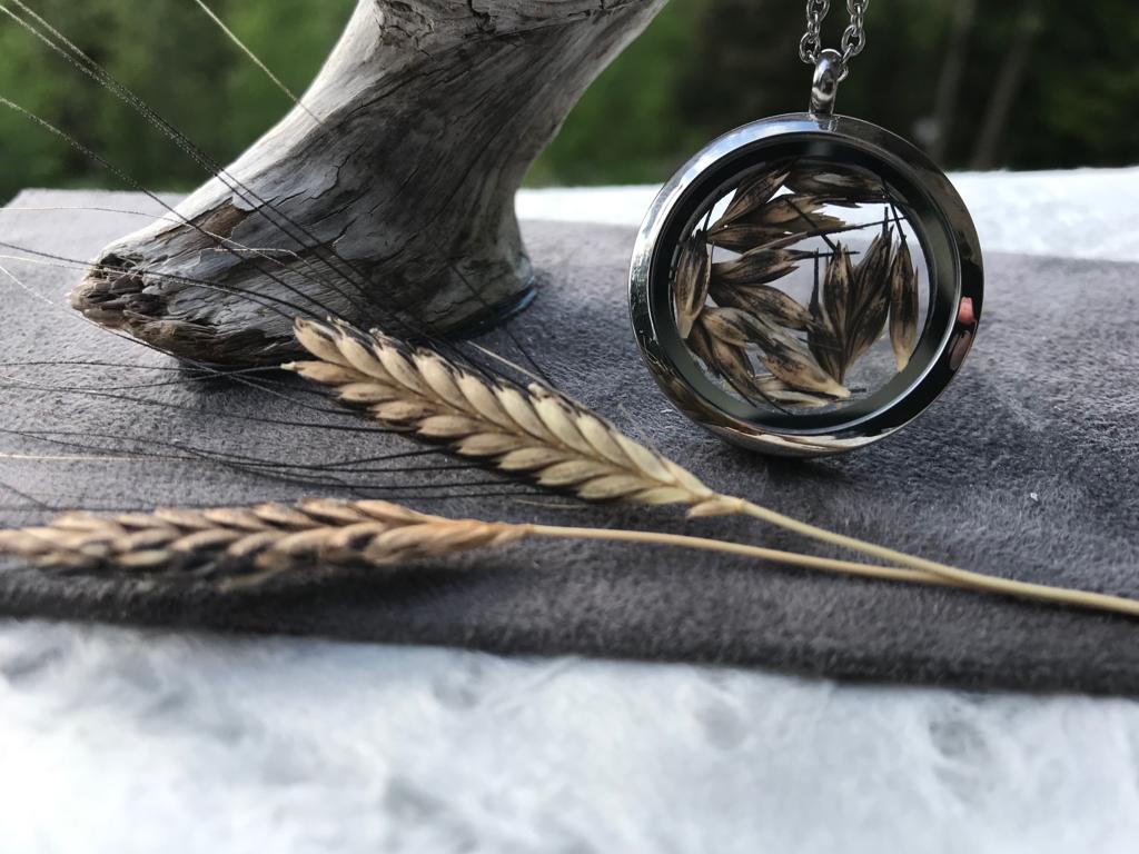 Ancient Einkorn Circle Stainless Steel Locket by Pressed Wishes