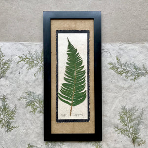 Real pressed sword fern framed artwork with handmade paper and black frame
