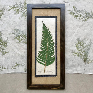 real pressed sword fern framed artwork; means health and confidence in floriography