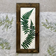 Dried Fern Artwork; real pressed fern framed artwork with walnut frame and handmade paper