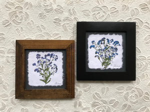 Dried Flowers; real pressed blue forget me not framed artwork available in black and walnut frame