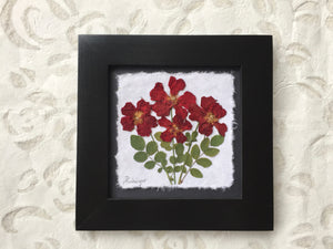dried rose framed artwork handcrafted in Canada by Pressed Wishes