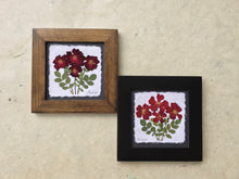 Dried Flowers; pressed rose framed picture