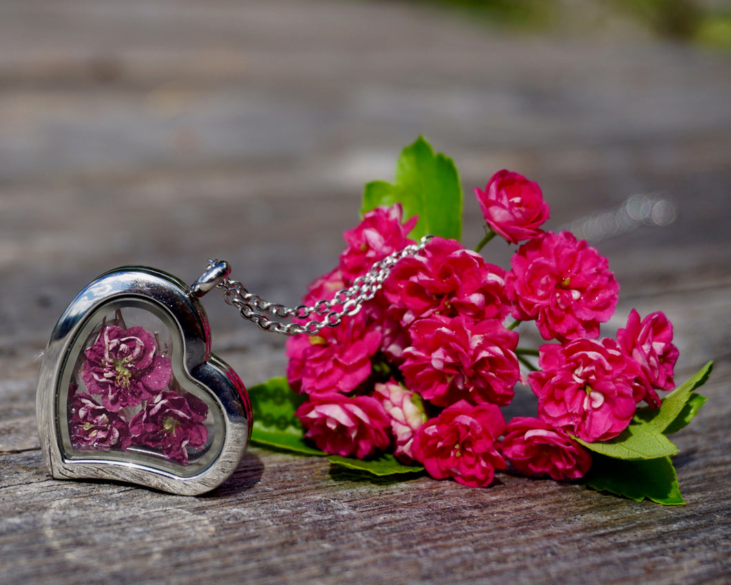 Real Dried Pink Hawthorne Flower Locket Necklace by Pressed Wishes