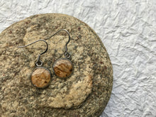 stainless steel lichen earrings sealed in eco resin