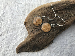 pressed lichen stainless steel earrings sealed in eco resin