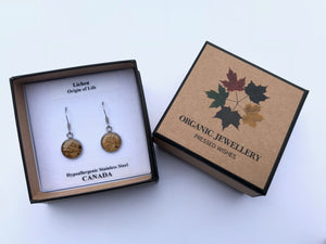 stainless steel lichen earrings in Pressed wishes box