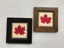 Dried Leaves; framed pressed red maple leaf with handmade paper and available in a black and walnut fram