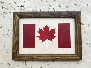 real pressed maple leaf canadian flag with handmade paper in walnut frame