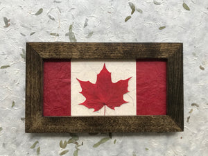 Pressed red sugar maple Canadian Flag made with a real maple leaf