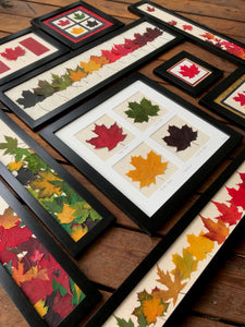 Dried Maple Leaves - The Maple Leaf Collection by Pressed Wishes; showcasing pressed leaf artwork