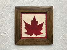 Dried Leaves; pressed maple leaf framed artwork with a walnut frame and red handmade paper