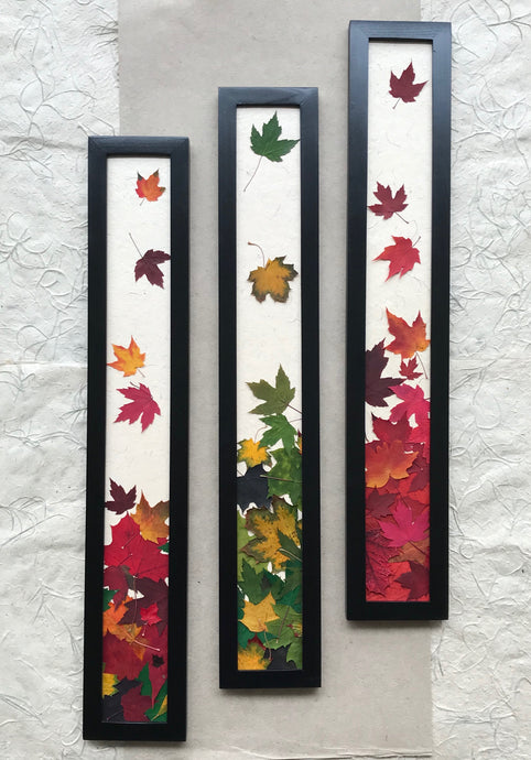 THE SKINNY Pressed Maple Leaf framed Art set of 3; red, green and multi colour