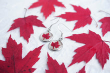 Real Pressed Red Maple Leaf Dangle Earrings by Pressed Wishes