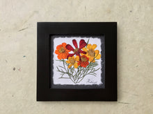 Dried Flowers; artisan made cosmos picture_pressed botanical art