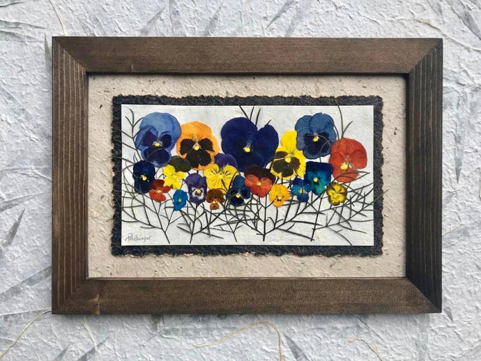 Real Pressed Pansy framed artwork with walnut handmade frame by Pressed Wishes