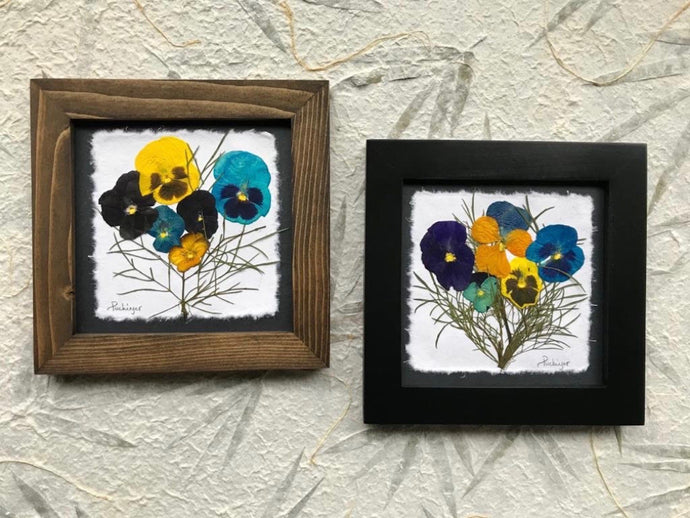 Real Pressed Pansy framed SIGNED ORIGINAL artwork by Pressed Wishes