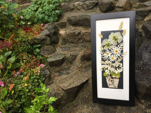 pressed daisy framed artwork in a birch planter pot by Pressed Wishes