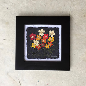 dried flowers; pressed colourful potentilla with black frame; handcrafted